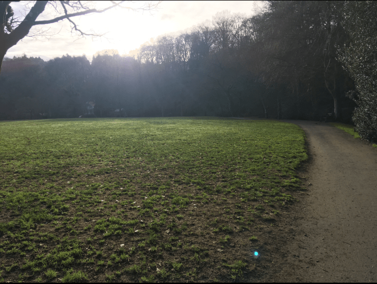 screenshot_2019-01-11-11-10-14-1